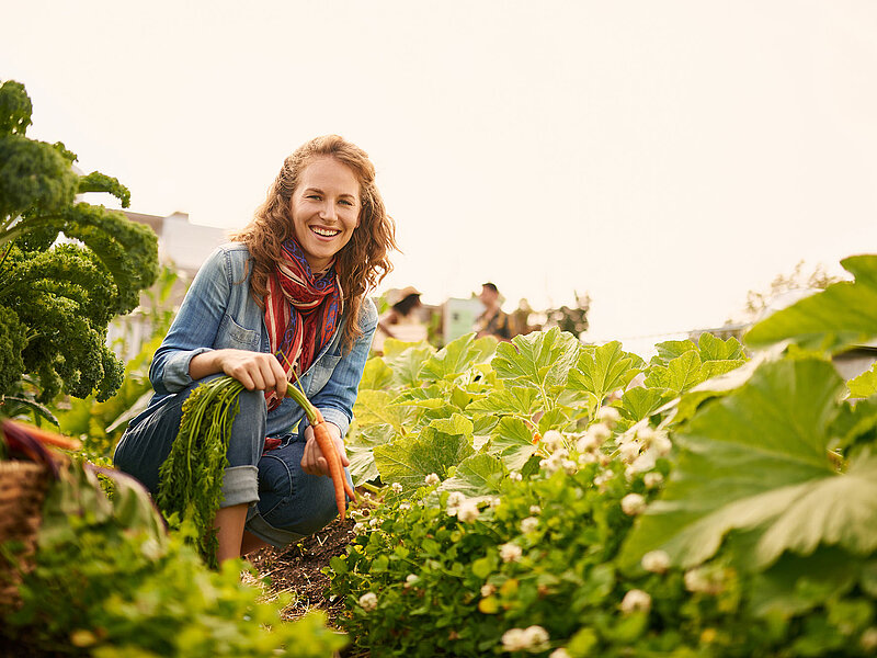 Eine junge Frau lacht, während sie frische Karotten in einem üppigen Garten erntet. Um sie herum wachsen sattgrüne Pflanzen, weiße Blüten und große Kürbisblätter. Weiches Abendlicht verleiht der Szene eine warme, natürliche Stimmung.